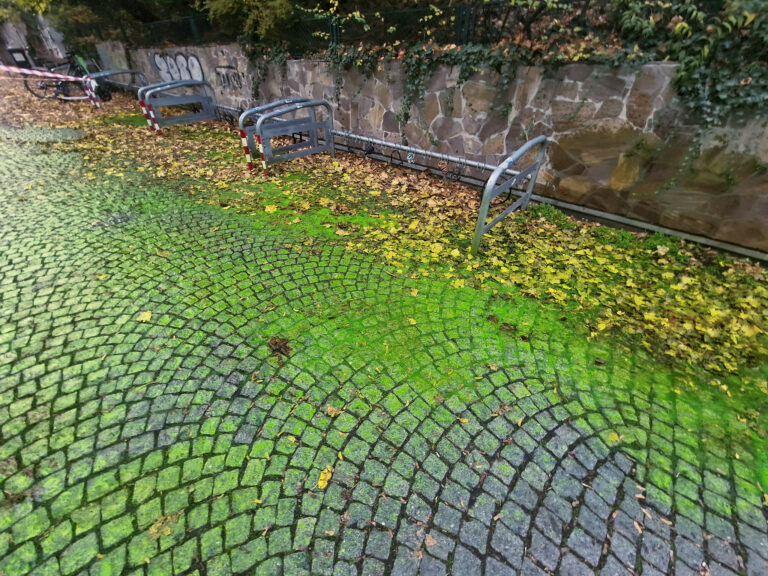 WALOTEC-Leckortung_ausserhalb_von_Gebaeuden-IMG-20241116-WA0118